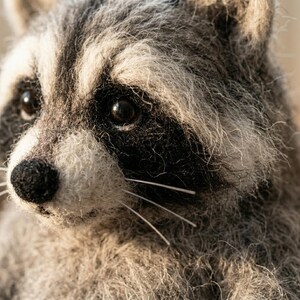 Raccoon DIY Craft Set Stress Relief Hobby Gift Needle Felting Kit for Beginners image 4