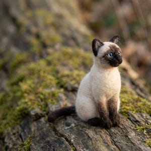 Pode incluir: Uma estatueta de gato siamês em lã feltrada com corpo cor de creme, orelhas, rosto, cauda e patas castanho-escuras. O gato tem olhos azul-brilhantes e uma aparência texturizada e felpuda, sentado numa posição ereta com a cauda ao lado.