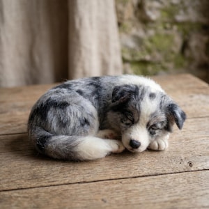Needle Felting Kit: Realistic Sleeping Puppy DIY Craft Set, Beginner Wool Sculpting Project