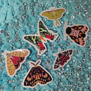May include: A collection of six moth stickers featuring diverse patterns and colours, including a pale green luna moth, a vibrant multicoloured moth, a black and orange moth, a yellow and pink moth, a red and black moth, and a dark pink and black moth.