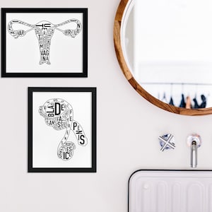 Typographic Artwork of Female or Male Reproductive Anatomy, 8&quot; x 10&quot; Prints