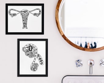 Typographic Artwork of Female or Male Reproductive Anatomy, 8" x 10" Prints