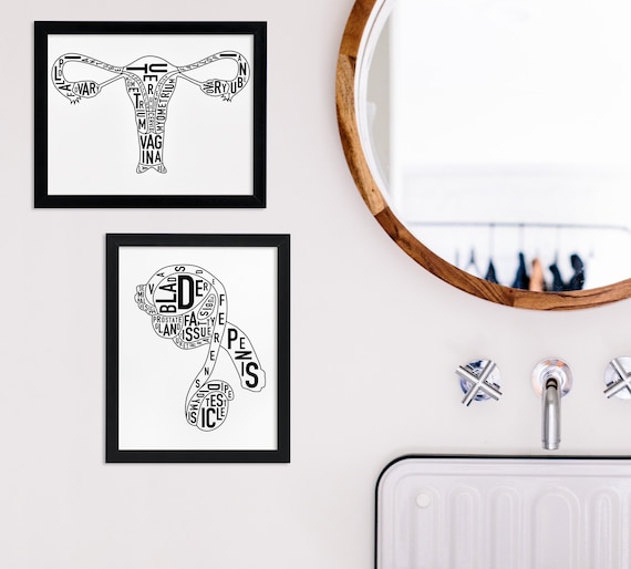 Typographic Artwork Of Female Or Male Reproductive Anatomy Etsy