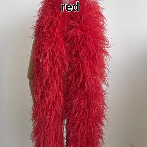 Puede incluir: Una boa de plumas de color rojo vibrante con plumas largas y finas drapeadas sobre un maniqu&iacute;. La palabra red est&aacute; impresa en texto blanco en la parte superior central de la imagen. El accesorio presenta una textura densa y voluminosa.