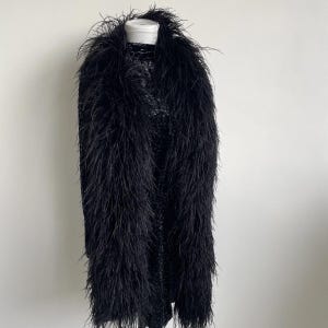 Puede incluir: Una prenda negra sin mangas con cuello alto y un adorno denso de plumas largas que se extiende desde los hombros hacia abajo. El material base presenta una superficie texturizada, oscura y ligeramente reflectante.