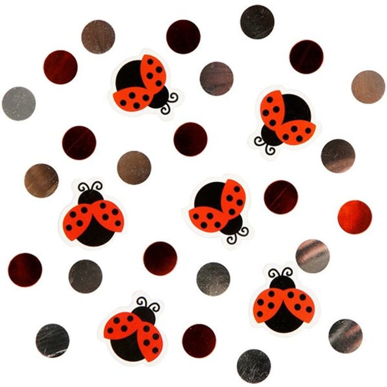Lady Bug Confetti Lady Bug Themed Birthday Party Lady Bug Etsy