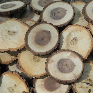 May include: A pile of round wooden slices, each with a unique grain pattern. The slices are various shades of brown and beige, with some having a darker brown center. The wood is smooth and polished, and the edges are slightly rough.