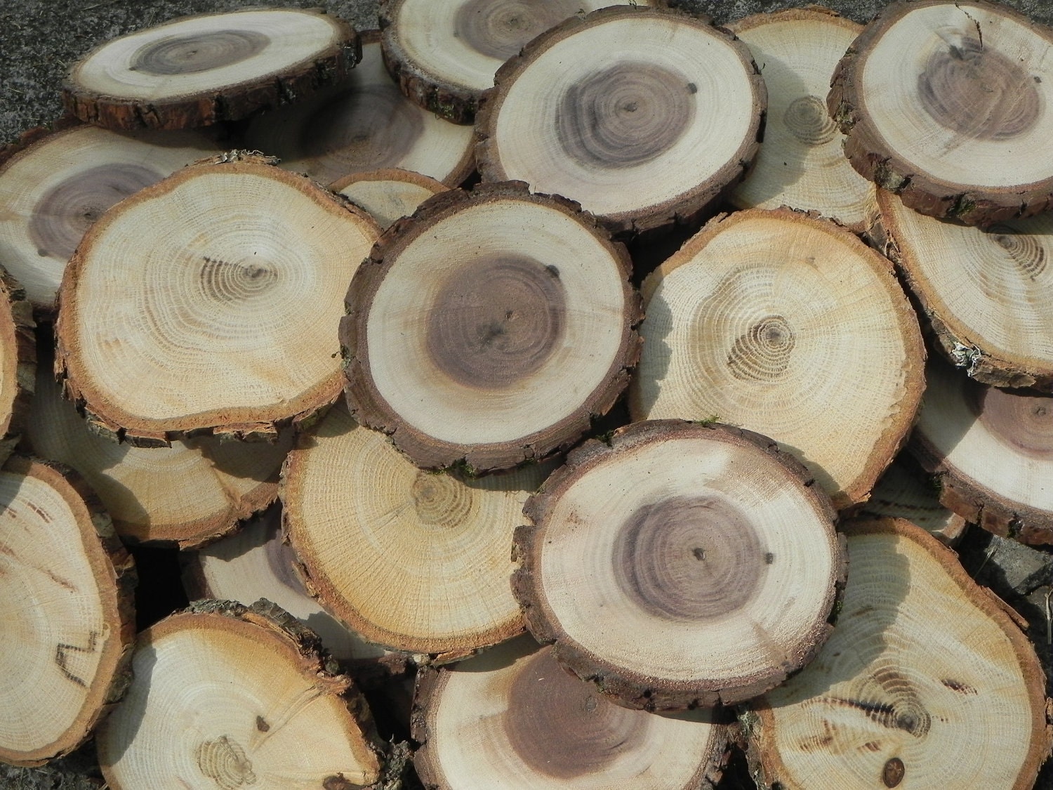 Marai Home Rustic Acacia Wood Slice with Bark Decor Wood