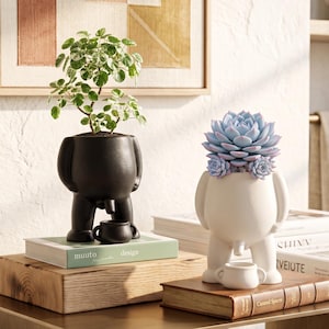 May include: Two anthropomorphic planters shaped like figures with legs and arms, one matte black and one matte white. The black planter holds a variegated green and white plant, while the white planter holds a pale blue succulent plant.