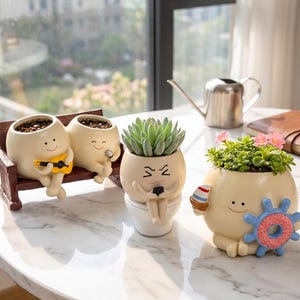 Maceta de resina con cara divertida y adorable, maceta con personaje de dibujos animados original, maceta creativa para suculentas, decoración para plantas de interior, regalo para amantes de las plantas.