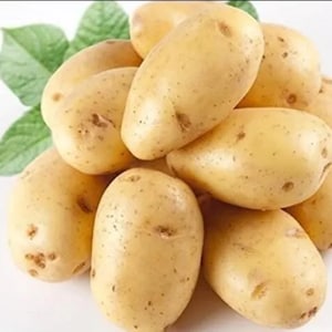 May include: A cluster of raw, unpeeled potatoes with light tan, smooth skin and small brown eyes. The potatoes are oval and round in shape, featuring a few small, dark brown spots across their surfaces. Several green leaves are visible behind them.
