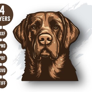 Chocolade labrador retriever meerlaagse SVG, 3D-hond DXF, gelaagd multiplex, papier gesneden bestand, dxf-bestand voor lasergesneden, cnc, cricut gesneden bestand