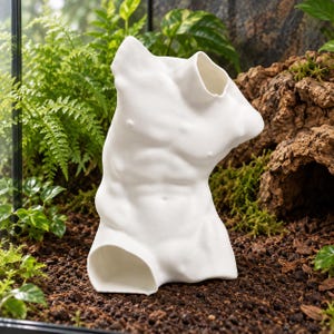 May include: A white ceramic sculpture shaped like a human torso, featuring a smooth matte finish and detailed anatomical contours including the chest, abdominal muscles, and shoulders, with an open neck and base.