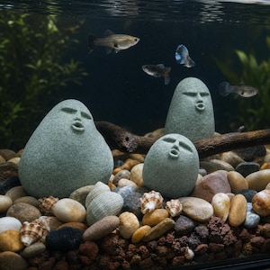 Peut inclure: Trois sculptures en pierre de couleur vert clair, lisses et arrondies, présentant des traits de visage sculptés évoquant le chant ou le sifflement, disposées parmi des galets, des coquillages et un morceau de bois flotté dans un aquarium.