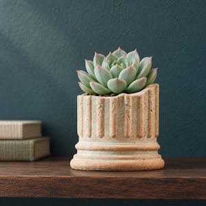 May include: A light green succulent plant with pointed leaves sits inside a cylindrical terracotta planter. The planter features a textured, fluted exterior design that resembles a classical architectural column base with a weathered finish.