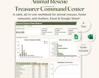 Animal Rescue Treasurer Spreadsheet, Shelter Budget Dashboard, Excel & Google Sheets, Donation and Foster Tracker, Bookkeeping Template