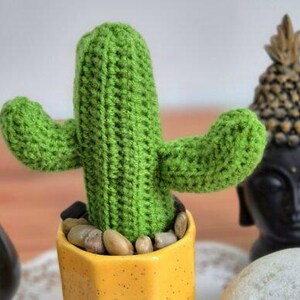 Plant Crochet Pattern,Desert Cactus Pattern PDF (Digital Download)
