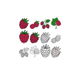 Könnte beinhalten: Eine Sammlung von Himbeer-Illustrationen, die in einem Raster angeordnet sind. Das Set enthält mehrere leuchtend rote Himbeeren mit grünen Blättern und Stielen sowie schwarz-weiße Strichzeichnungen derselben Frucht in verschiedenen Wachstumsstadien.