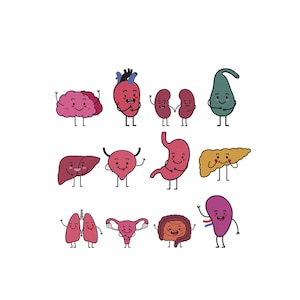 May include: A collection of twelve cartoon human organ illustrations, including a brain, heart, kidneys, gallbladder, liver, bladder, stomach, pancreas, lungs, uterus, intestines, and spleen, each featuring a smiling face and thin black limbs.