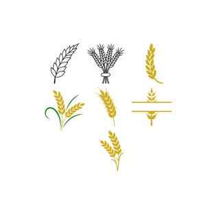 Pode incluir: Uma coleção de sete ilustrações de talos de trigo dispostas em uma grade. Os designs incluem arte linear preta e ícones de cor dourada sólida, apresentando talos individuais, um feixe amarrado e um elemento divisor horizontal com motivos de trigo.