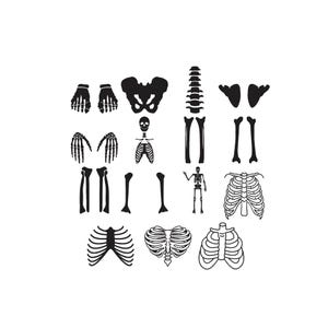 May include: A collection of black and white graphic illustrations depicting various human skeletal components, including skulls, rib cages, hands, feet, pelvic bones, and long bones, arranged in a grid-like pattern on a plain white background.