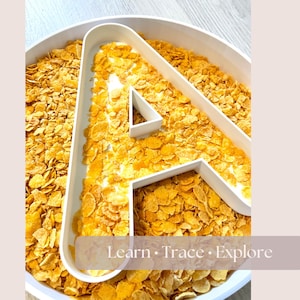 Pode incluir: Uma bandeja branca em forma de letra A preenchida com flocos de milho amarelo dourado. A bandeja está dentro de um recipiente circular branco maior também cheio de flocos de milho. Uma sobreposição exibe o texto Learn • Trace • Explore.