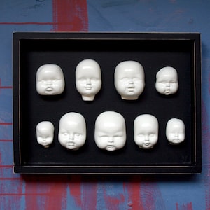 Doll heads collection, Baby doll heads, Shadowbox doll heads, Curiosity shadobox, Porcelain doll heads, Creepy doll heads, black and white