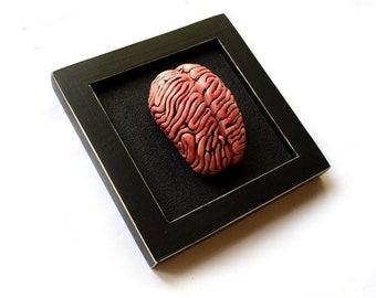 Brain sculpture, Ceramic brain sculpture, Brain wall art, Psychology gift, Creepy sculpture, Anatomical sculpture, Human brain