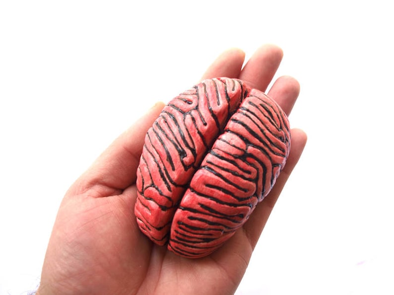 Ceramic Brain Sculpture, Desk accessory, Anatomy sculpture, Business card holder, Note holder, Psychology gift image 1