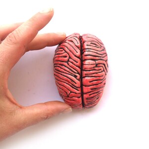 Ceramic Brain Sculpture, Desk accessory, Anatomy sculpture, Business card holder, Note holder, Psychology gift image 3