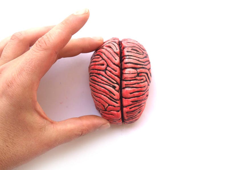 Ceramic Brain Sculpture, Desk accessory, Anatomy sculpture, Business card holder, Note holder, Psychology gift image 3