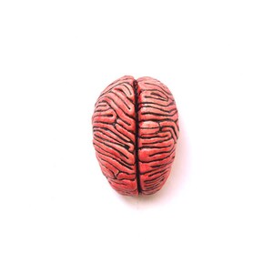 Ceramic Brain Sculpture, Desk accessory, Anatomy sculpture, Business card holder, Note holder, Psychology gift image 2
