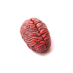 Ceramic Brain Sculpture, Desk accessory, Anatomy sculpture, Business card holder, Note holder, Psychology gift image 4