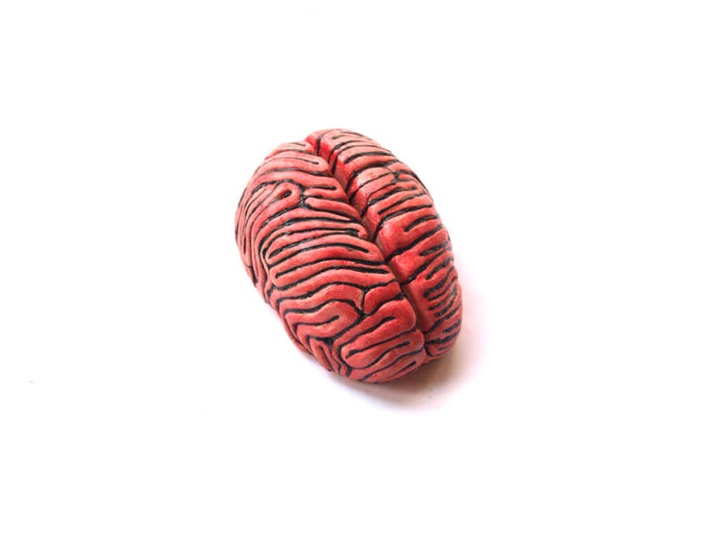 Ceramic Brain Sculpture, Desk accessory, Anatomy sculpture, Business card holder, Note holder, Psychology gift image 4