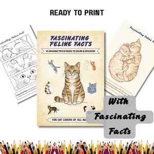 Puede incluir: Una colección de páginas imprimibles tituladas Fascinating Feline Facts, que presenta una portada central con una ilustración de un gato atigrado marrón, rodeada de dibujos de gatos y dos páginas adicionales con hechos y dibujos.