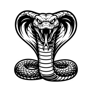 Pode incluir: Uma ilustração gráfica a preto e branco de uma cobra em postura defensiva com o capuz aberto, a boca aberta e as presas expostas. O design apresenta linhas arrojadas e sombras de alto contraste para definir as escamas e os traços faciais.
