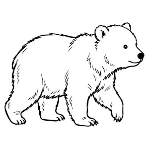 Puede incluir: Una ilustración de arte lineal en blanco y negro de un pequeño osezno caminando. El dibujo presenta contornos simples y limpios que definen la textura del pelaje, las orejas redondeadas y los rasgos faciales del oso sobre un fondo blanco.