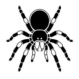 May include: A high-contrast black and white graphic illustration of a spider. The design features a solid black body and head with white outlines and accents on the eight segmented legs, pedipalps, and fangs, presented in a symmetrical top-down view.