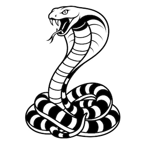 Peut inclure: Une illustration graphique en noir et blanc représentant un cobra en position enroulée. Le serpent est représenté avec la coiffe déployée, la gueule ouverte, les crocs exposés et une langue bifide sortie. Le corps présente un motif rayé.