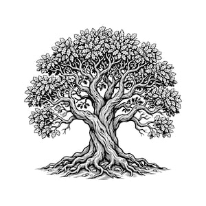 Può includere: Un'illustrazione a inchiostro in bianco e nero di una grande quercia matura con un tronco spesso e nodoso e radici estese e visibili. L'albero presenta una chioma densa e arrotondata ricca di foglie lobate dettagliate e rami intricati.