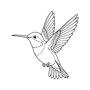 Può includere: Un'illustrazione in bianco e nero a tratto di un colibrì in volo. L'uccello è raffigurato di profilo con le ali spiegate verso l'alto, un lungo becco sottile e dettagliati motivi di piume sulle ali e sulla coda, il tutto con linee nette.