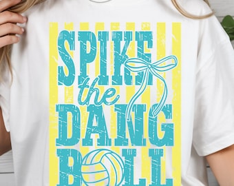 Retro Volleyball Game Day DTF Transfer (Ready to Press) Spike The Dang Ball