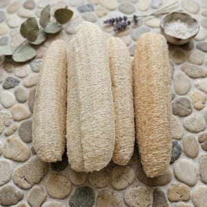 May include: Four cylindrical loofah sponges with a fibrous, tan-colored texture. Each sponge features a porous, natural plant-based structure with a light beige hue, arranged vertically in a cluster to display their elongated, rounded shape.