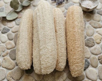 Set 2 Large Whole Natural Loofah Gourd, Organic Loofah Sponge, Body Exfoliator, Dish Scrubber, Zero Waste Home