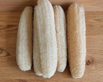Großer natürlicher Luffa Schwamm 25-30 cm, Bio Luffa Wäscher, Peeling-Badeschwamm, umweltfreundlicher Küchenreiniger