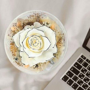 Floral Time Waltz Light - Moon White, Preserved Flower Lamp, Aesthetic Accent Lamp, Wedding Anniversary Gift, Decorative Table Lamp