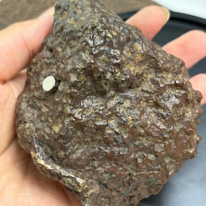 421,7 g Natuurlijk pallasiet meteoriet exemplaar Magnetisch ruimtesteen mineraal verzamelobject display