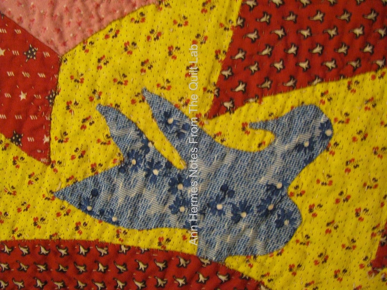 Calico Paradise Applique Quilt Pattern image 3