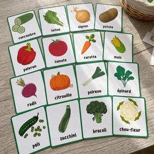 Puede incluir: Un conjunto de dieciséis tarjetas educativas rectangulares con ilustraciones coloridas de diversas verduras, incluyendo pepino, lechuga, cebolla, patata, pimiento, tomate, zanahoria, maíz, rábano, calabaza, puerro, espinaca, guisantes, calabacín, brócoli y coliflor.