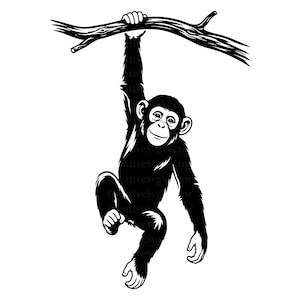 Schimpanse SVG, Affe, Dschungeltier, Wildtier-Dekor, hängender Primate Cricut-Schnitt